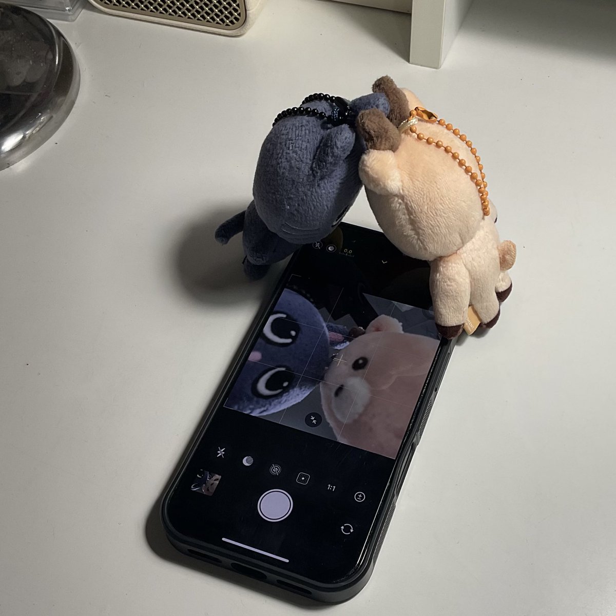 ทำยัยกัน