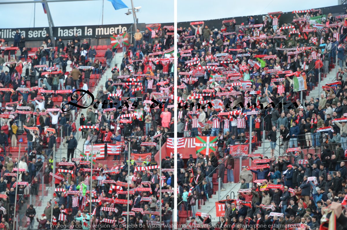 LA GRADA DETRÁS DE UNA CÁMARA tweet media