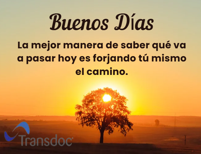 transdoctrabajos tweet media