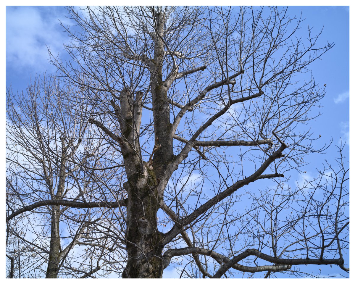 Tanimura (@lens_lens_lens_) on Twitter photo 