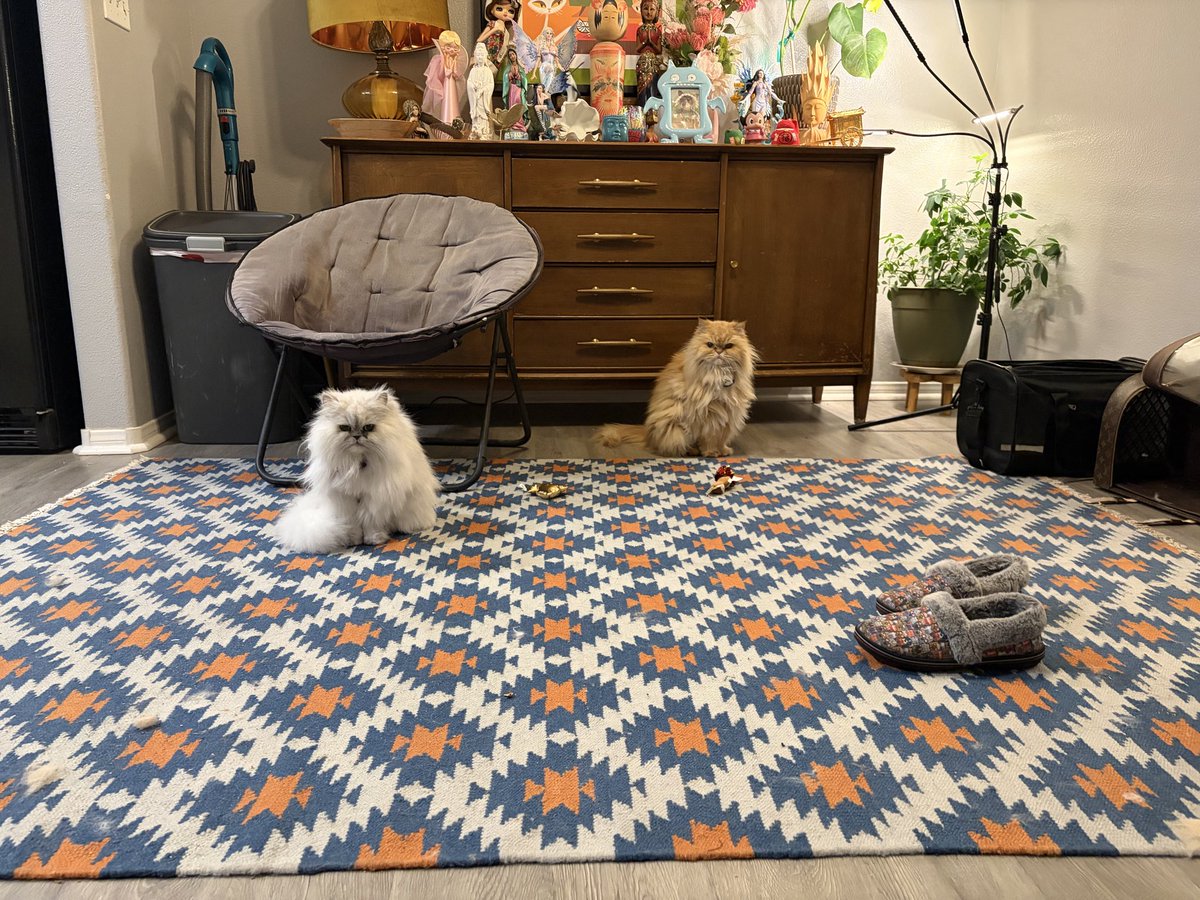 After my best friend’d passed, I took in her cats so they could stay together and safe 🐾💛 They’re doing well here. If anyone can help with cat food donations, I’d be so grateful.