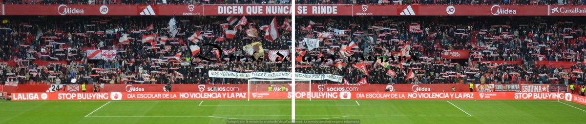 LA GRADA DETRÁS DE UNA CÁMARA tweet media