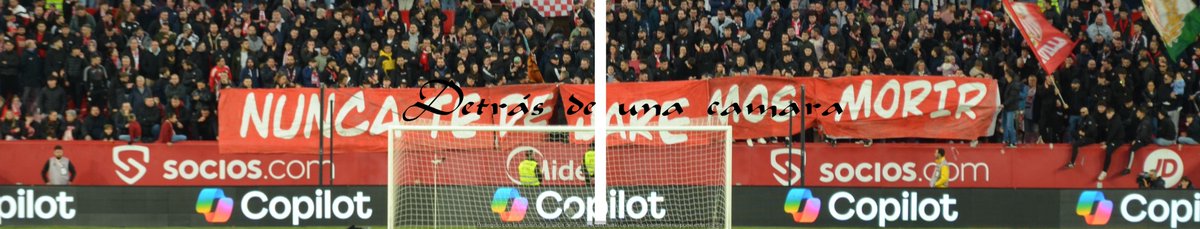 LA GRADA DETRÁS DE UNA CÁMARA tweet media