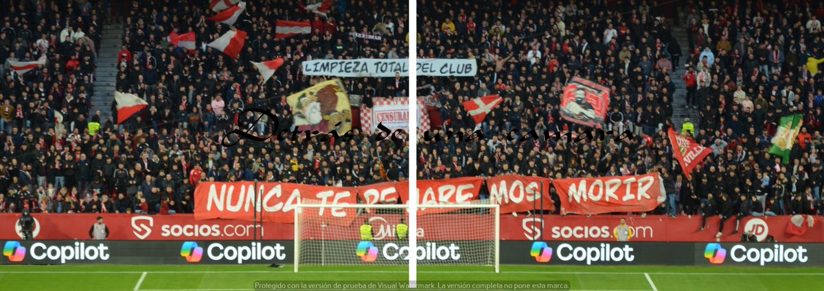 LA GRADA DETRÁS DE UNA CÁMARA tweet media