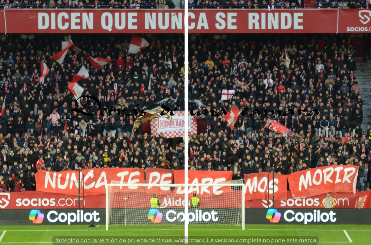 LA GRADA DETRÁS DE UNA CÁMARA tweet media