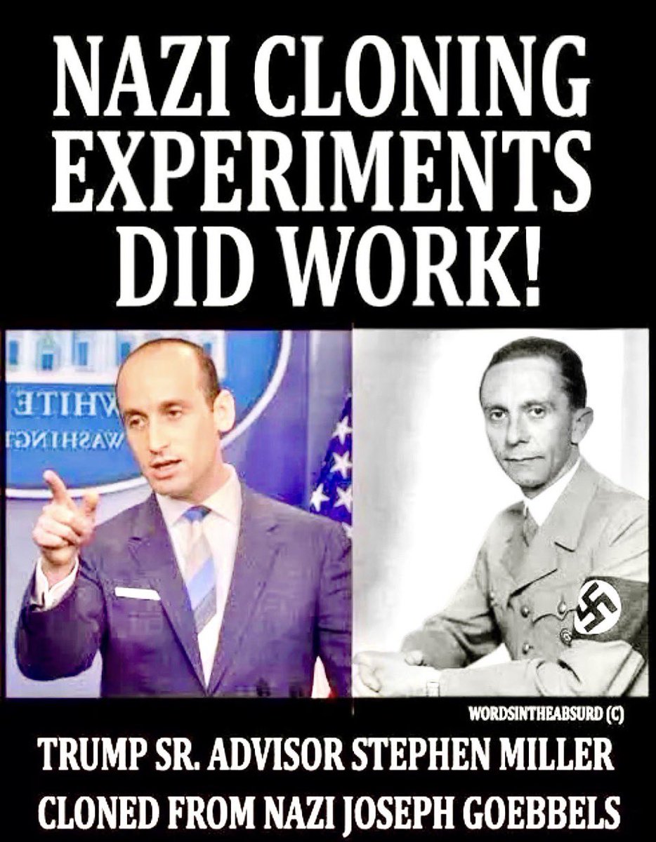 DaleMaple's tweet image. 