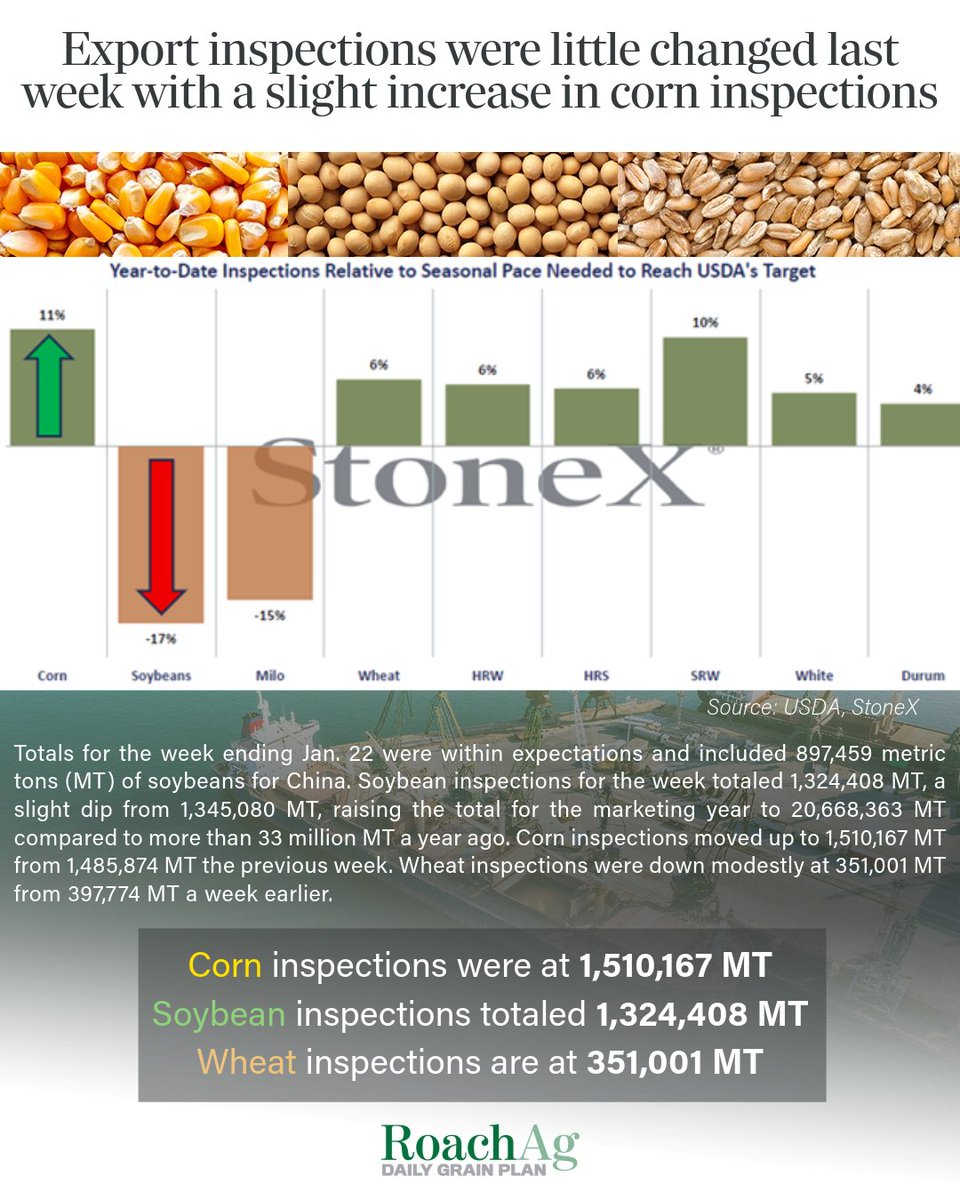 Roach Ag Daily Grain Plan tweet media