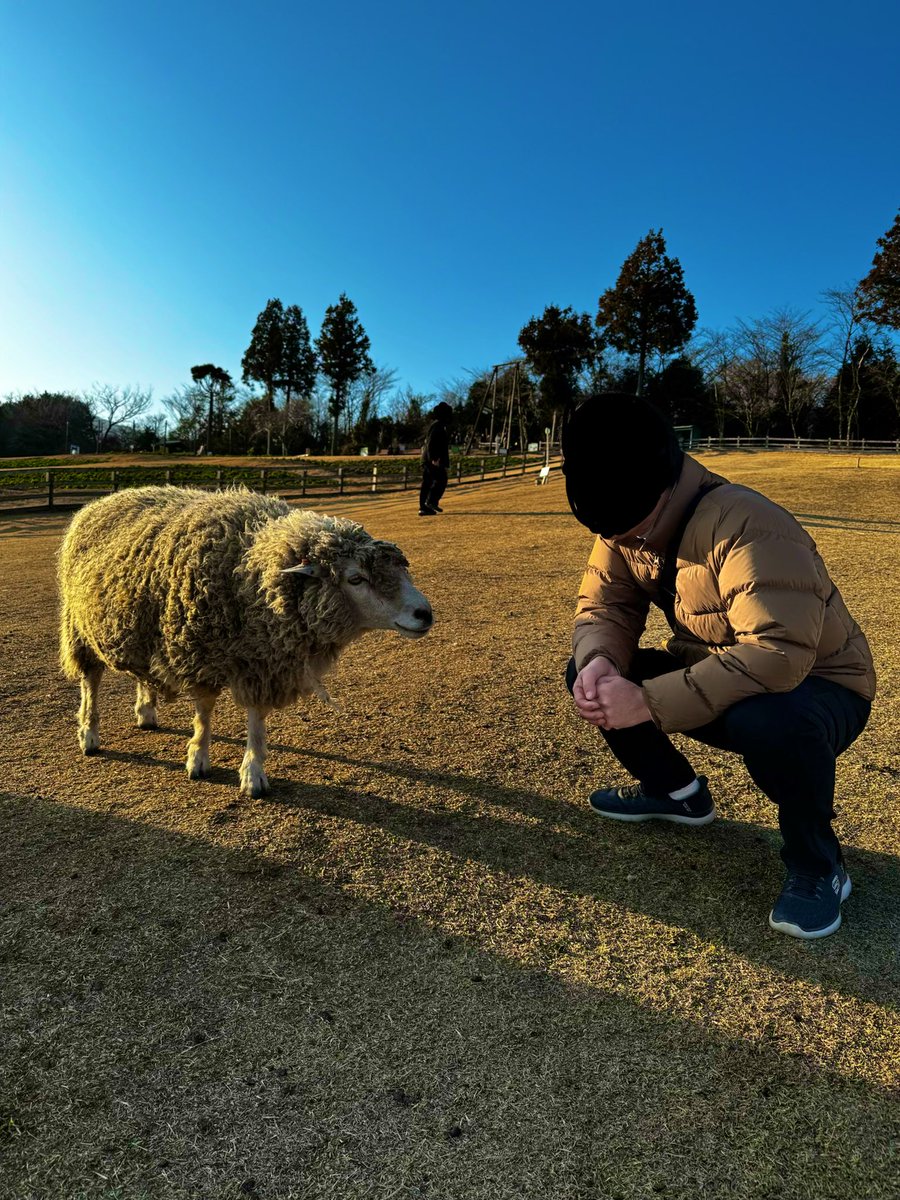 まーくん (@KHAOS_MAHKUN) / Posts / X