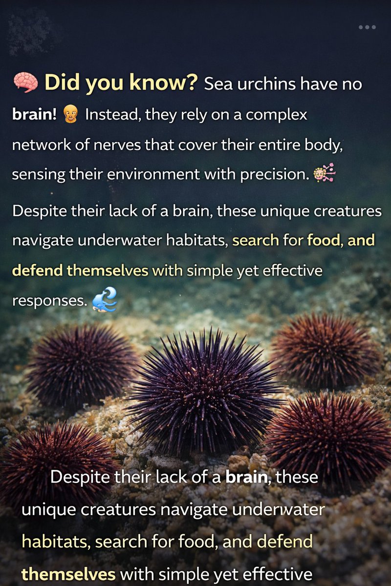 OurWorldBooks's tweet photo. Discover more amazing animal facts from the author:
👉 https://t.co/TjyPbPFWTw
#SeaUrchin #DidYouKnow #OceanLife #MarineAnimals #Wildlife #AnimalFacts #OurWorld https://t.co/wabCxGQaY8