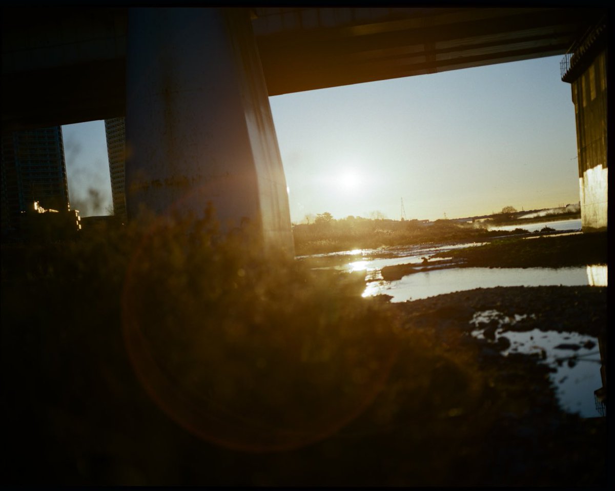 むつみとみた tweet media