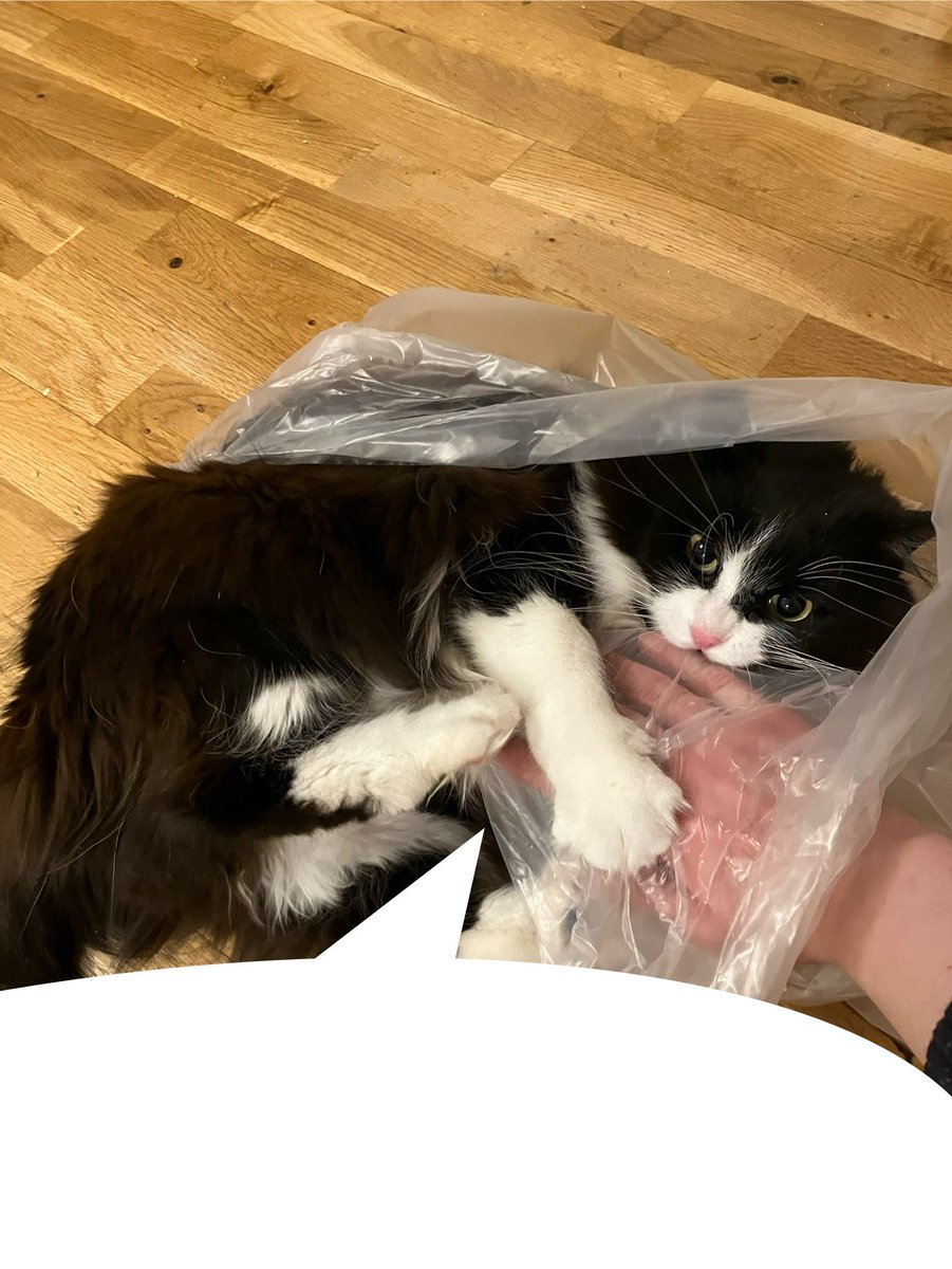 technomysh's tweet image. 