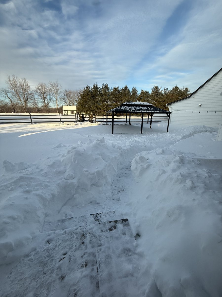 𝗪𝗔𝗟𝗞𝗔𝗣𝗘𝗗𝗜𝗔 tweet media