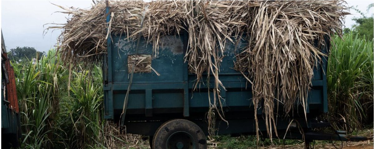 OasisReunionBio tweet media