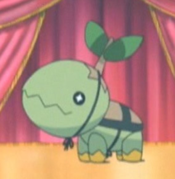 pokemonjewels's tweet image. trapinch cosplaying as turtwig