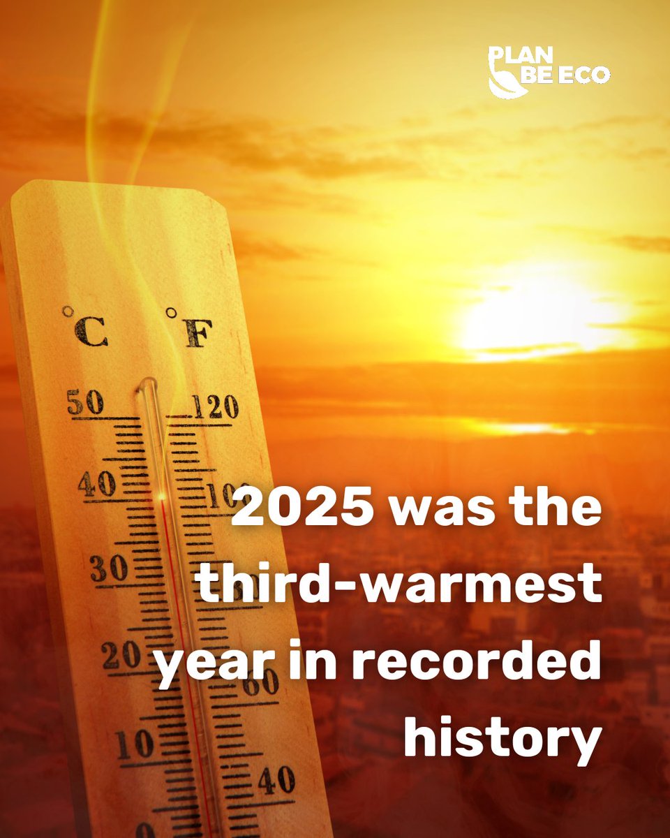 Plan Be Eco tweet media