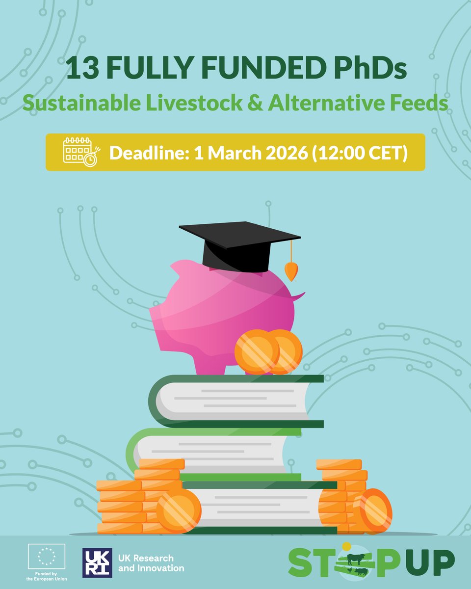 Horizon_StepUp tweet media