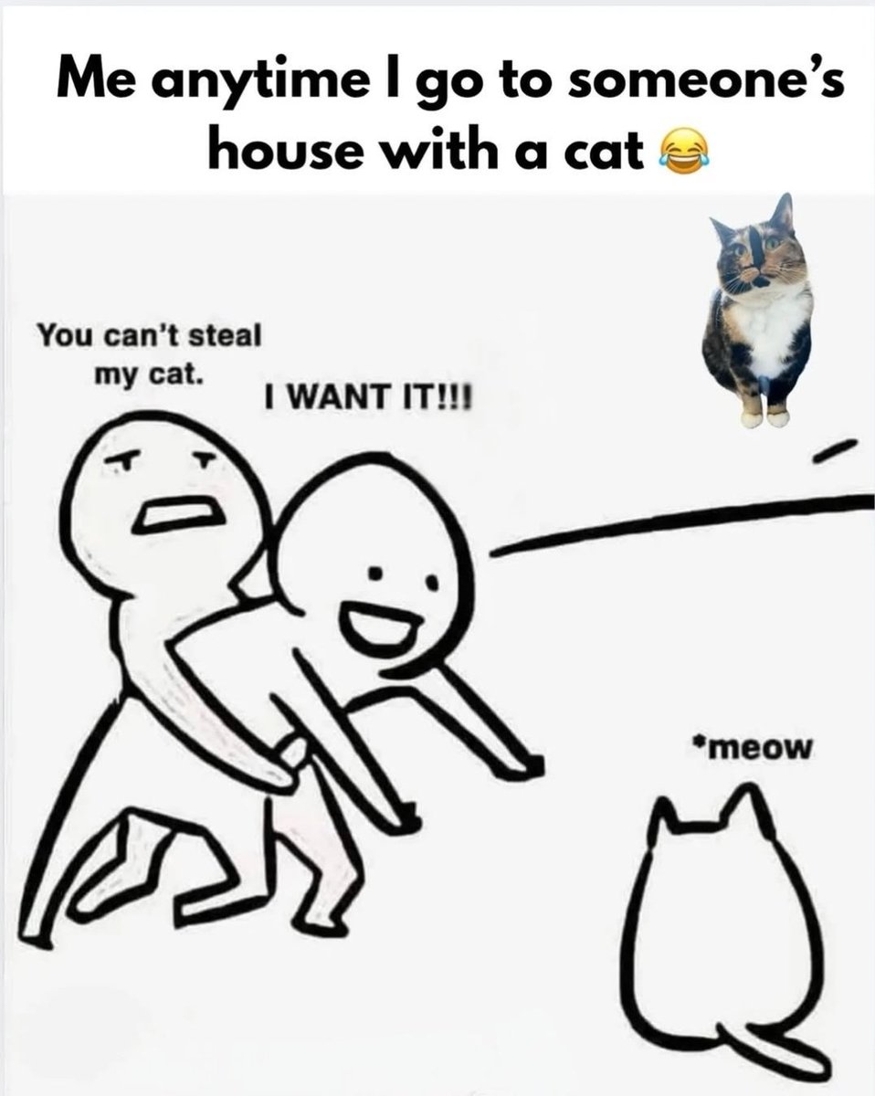 We don't deserve cats 😺 (@catsareblessing) on Twitter photo 