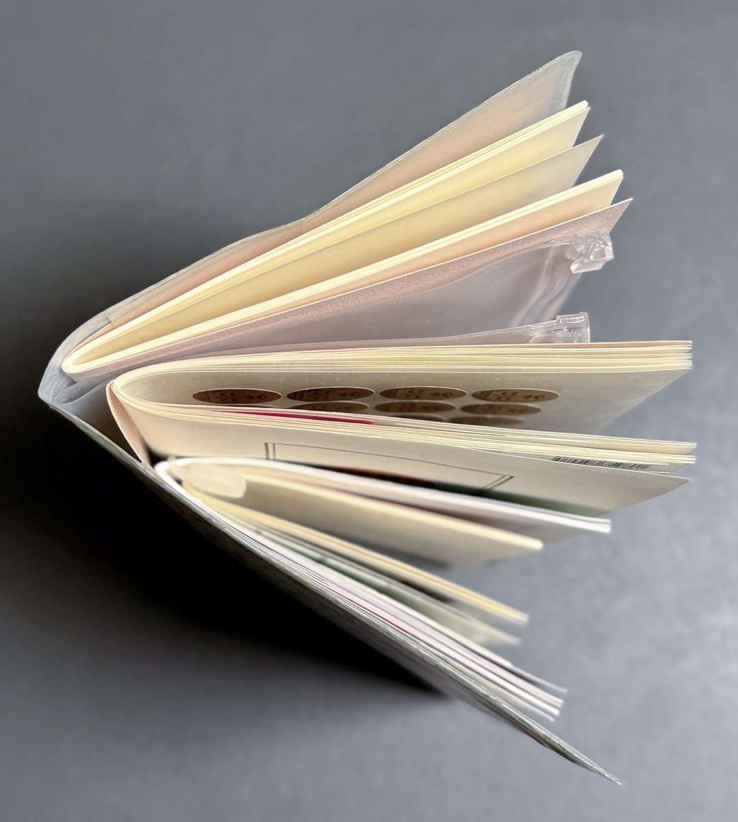 ははーん🐼 (@hahaaaaan2) / Posts / X