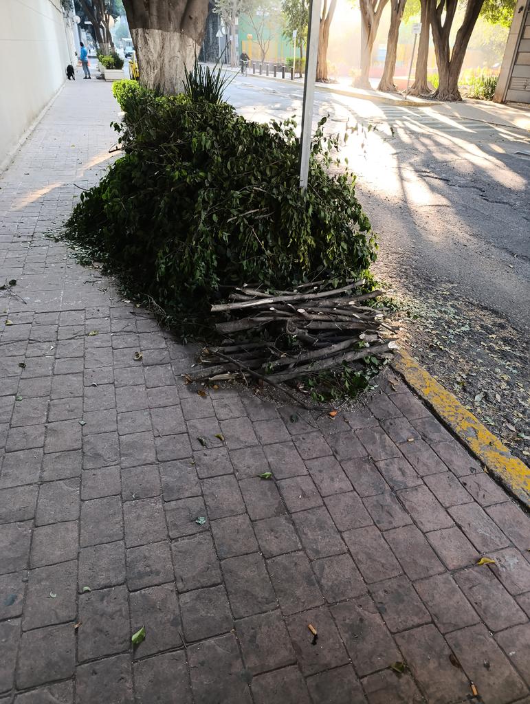 PericoDS tweet media