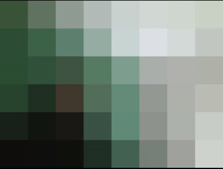Hâdschi tweet media