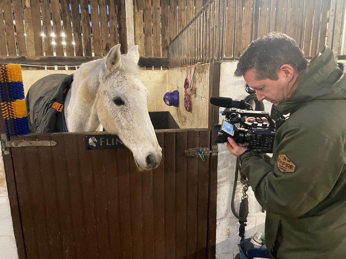 3 Point Media tweet media