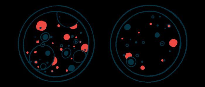 Scleroderma News tweet media