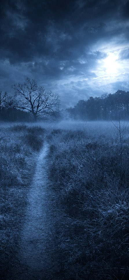 Rene Runningman tweet media