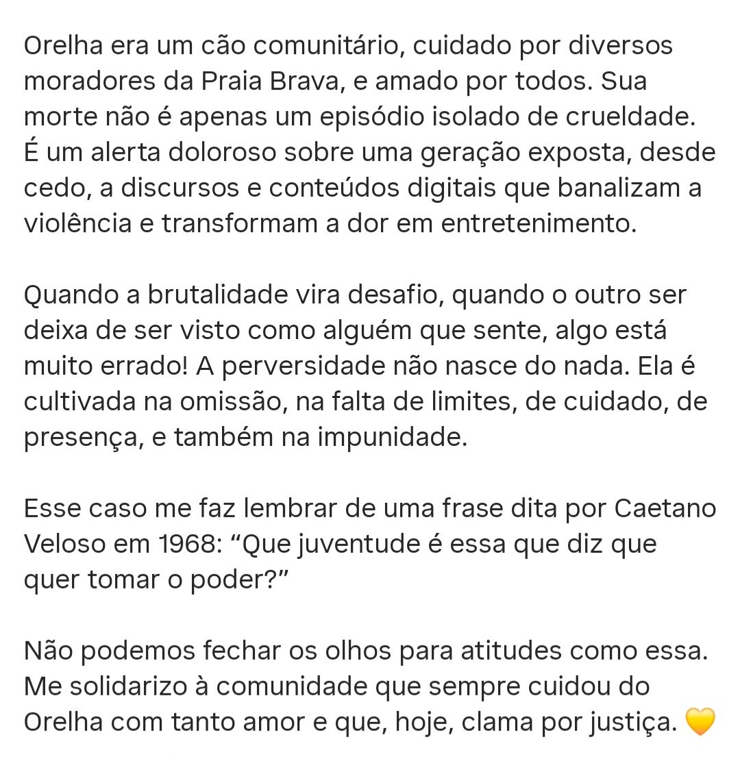 carlaayres's tweet image. JANJA DEFENDE JUSTIÇA POR ORELHA

Importante posicionamento da primeira-dama @JanjaLula, sobre a crueldade que chocou Florianópolis, Santa Catarina e o Brasil.

#justicapororelha