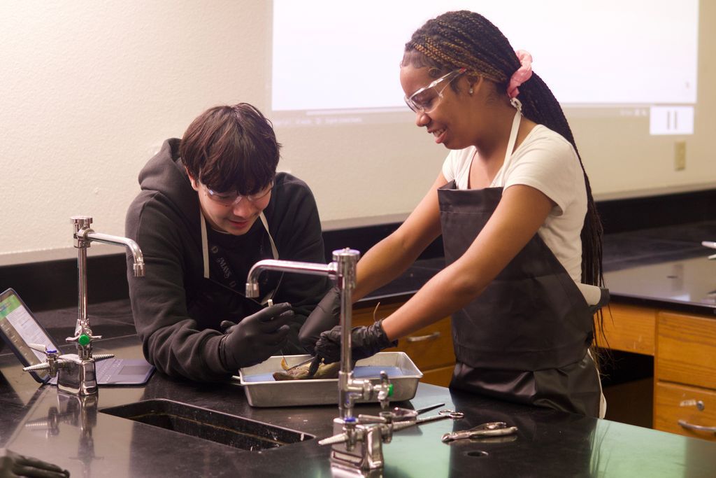 The Colony HS tweet media