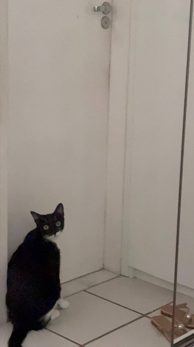 colombieri tweet media