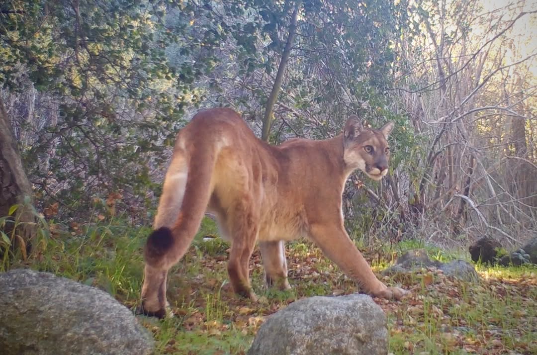 🌴 Vagrant 🌴 (@vagranttravels) on Twitter photo 