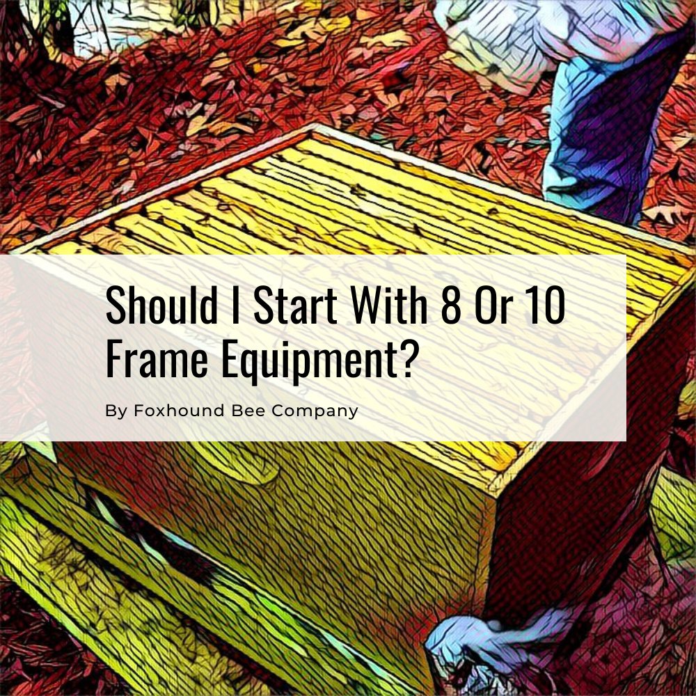 FoxhoundBeeCo's tweet image. Choosing the right beekeeping equipment for your needs is essential. What works for another beekeeper may not work for you.

So if you are planning on getting started, take some time and choose the right type.

bit.ly/3RHfWsg

#foxhoundbeeco #beekeepingtips #beekeeping