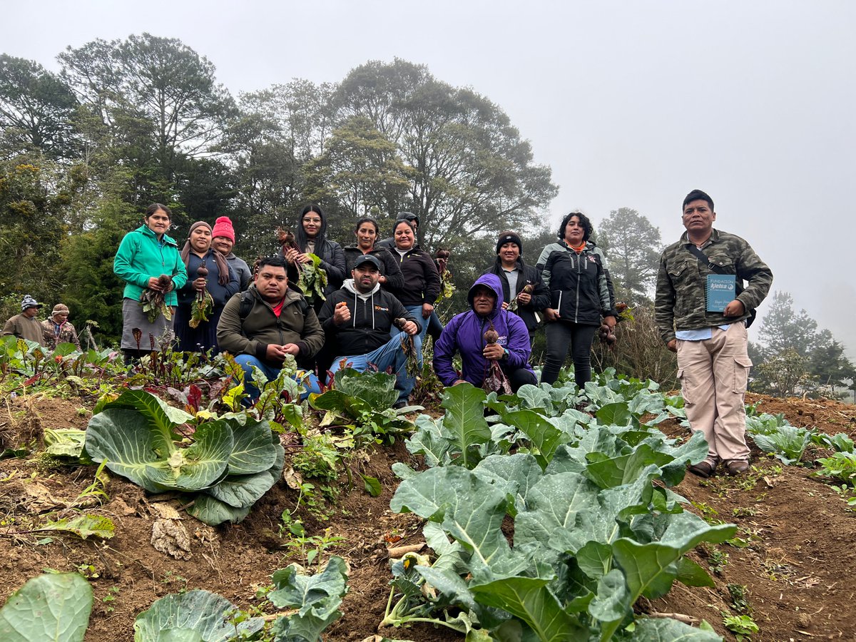 World Vision Honduras tweet media