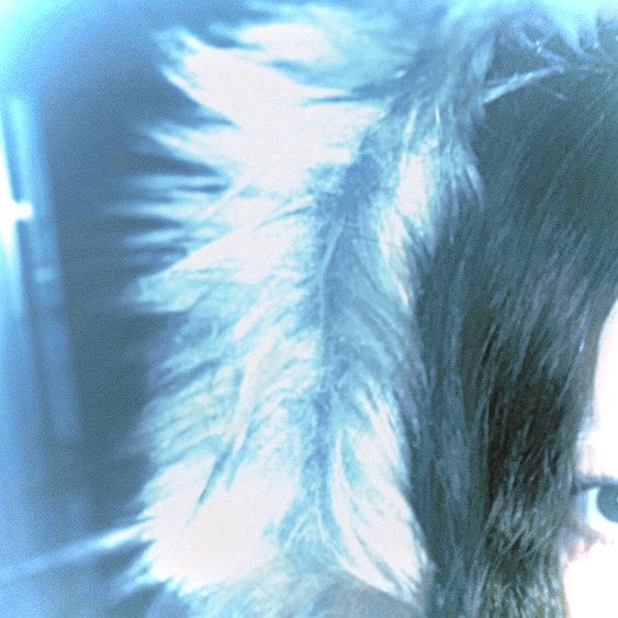 1i_0o_'s tweet photo. ⟢˖⊹ ࣪𓂋 New Release 𓂋࣪ ⟢ ˖⊹

”蛾 / Tears broken ”

新しいきょくです。
いっぱい聴いてください☀︎

https://t.co/4q8IzMxA51 https://t.co/j3HM9xq0Uu