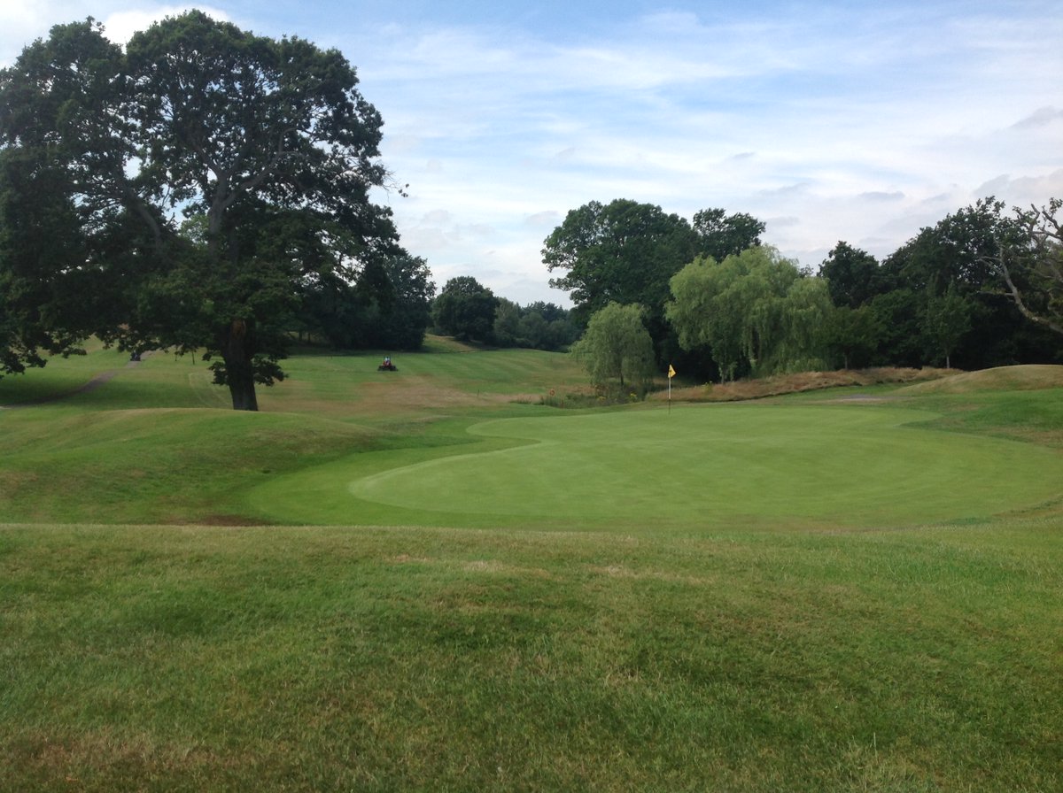 golfshake tweet media