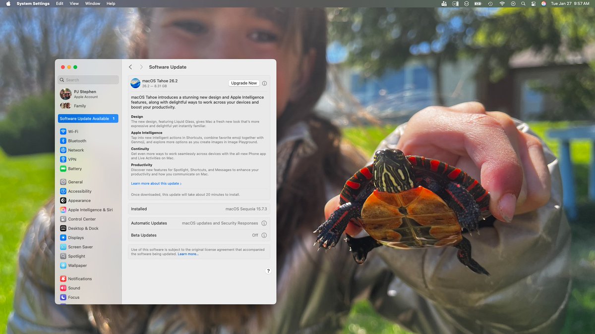 PJ Stephen tweet media