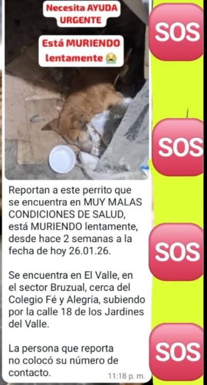 Difundimos. Necesita AYUDAAAAA URGENTE. Sin número de contacto