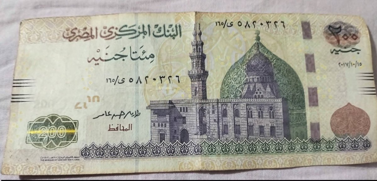 ألو أنا القطة tweet media