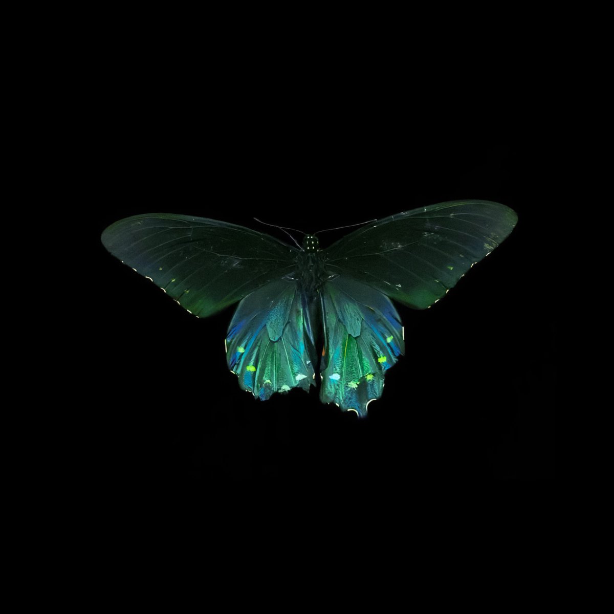 gardenofcolours's tweet image. 