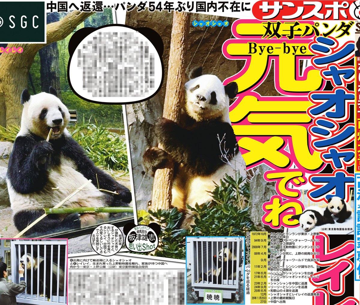本日のサンスポ １面は
【#シャオレイ 元気でね】
上野動物園の双子のジャイアントパンダ #シャオシャオ と #レイレイ が中国へ向けて旅立ったことを報じています！

サンスポe-shopではパンダ新聞「ありがとうシャオシャオ レイレイ」も好評発売中
sanspo-eshop.com/view/item/0000…