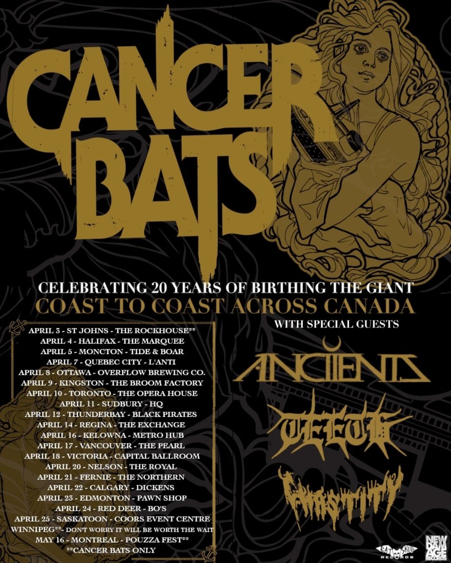 b r ü c e tweet media