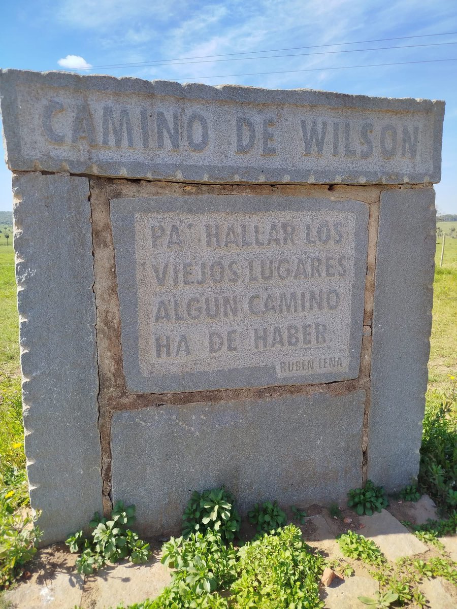 #Monumento
El monolito “El camino de Wilson” ubicado en Rocha, km 267 del la Ruta 13, camino al establecimiento Cerro Negro, el campo de Wilson que le fuera confiscado por la dictadura. Se inauguro en junio de 2007 con la presencia de Carlos Julio, Lacalle Herrera y Larrañaga.