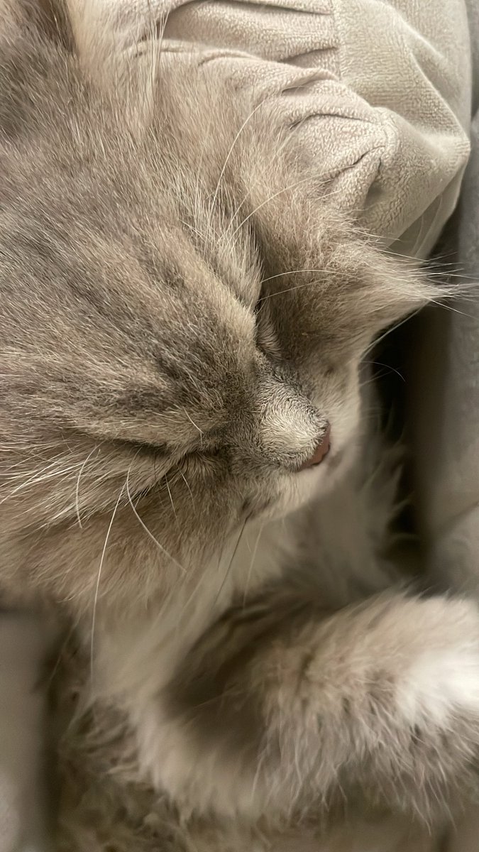 urmistrrss4ever's tweet image. نايمه بحضني