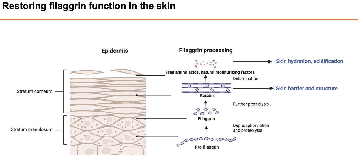 Azitra, Inc. tweet media
