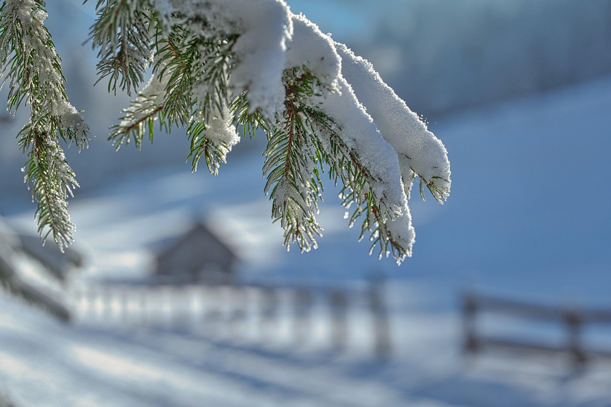 7GablesCarlisle's tweet image. Feeling stuck indoors? Try a one-pot meal, rewatch your favorite show, redecorate virtually, or dive into a good book or game! Stay cozy—spring is coming! 🌸🏡 #StayWarm #HomeHacks