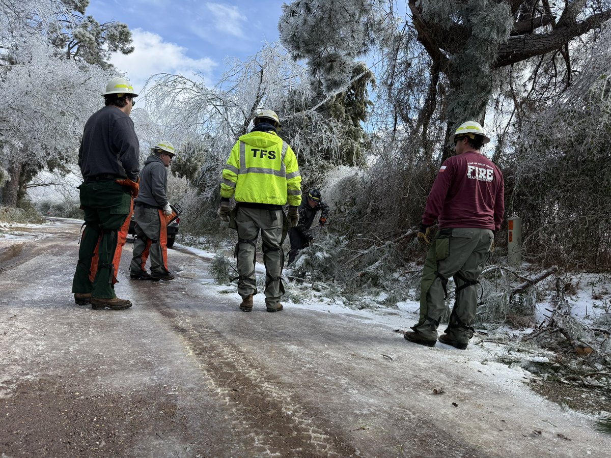 Texas Division of Emergency Management tweet media