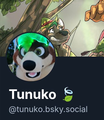 Tunuko 🍃 たぬきです! tweet media