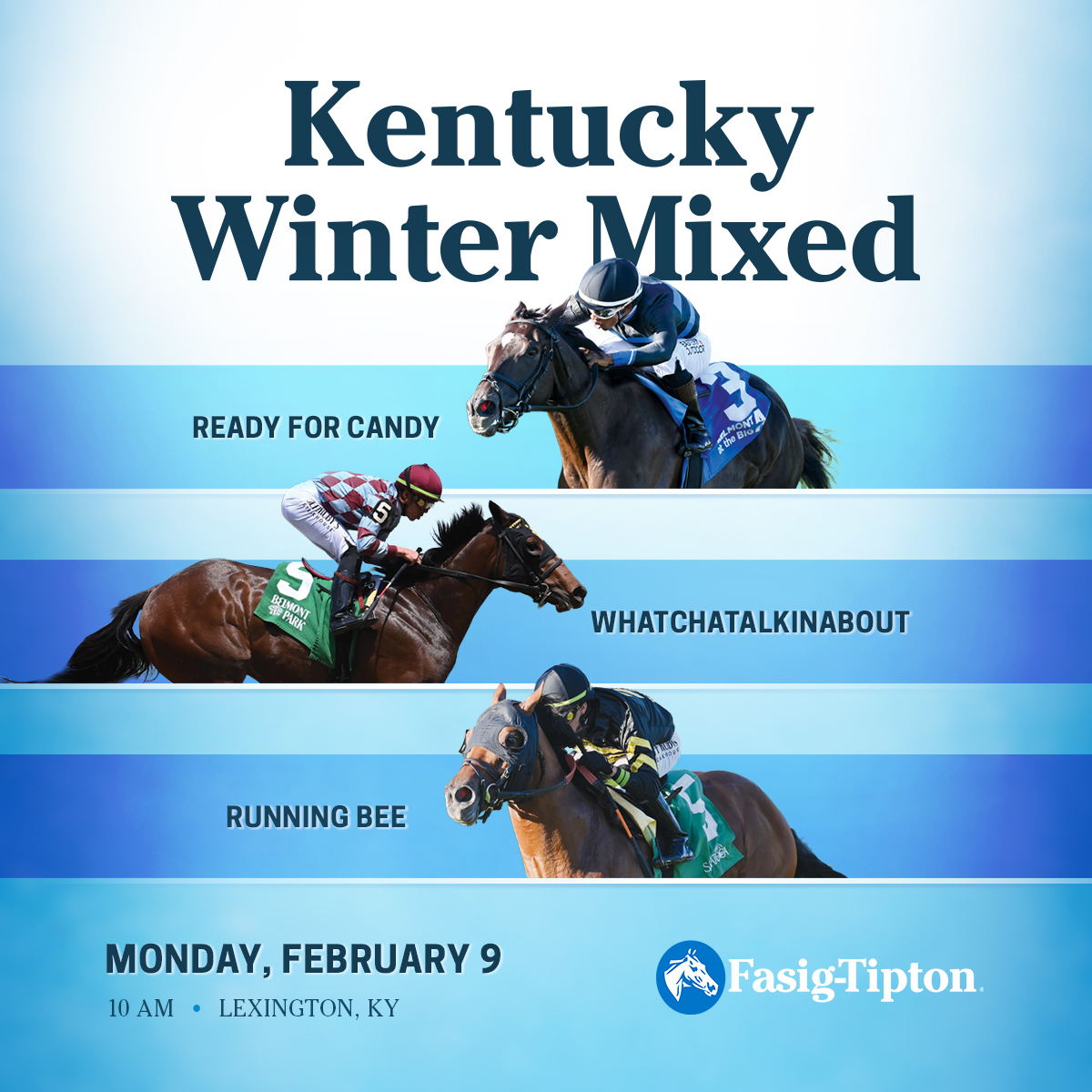 Fasig-Tipton has catalogued an additional 19 entries to its upcoming Kentucky Winter Mixed Sale, to be held on Monday, February 9 in Lexington. These newest entries are catalogued as hips 386-404 and include several stakes winners and a half-sibling to a recent Grade 1 winner.