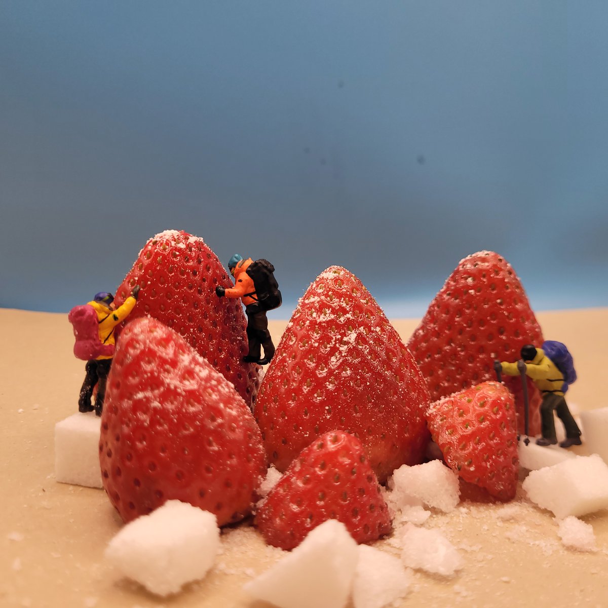 StAnnesAcademy's tweet image. Photography students have been exploring the Tiny World Project, taking inspiration from the artist  David Gilliver. They have produced some fantastic and imaginative results! #tinyworld #davidgilliver #photography