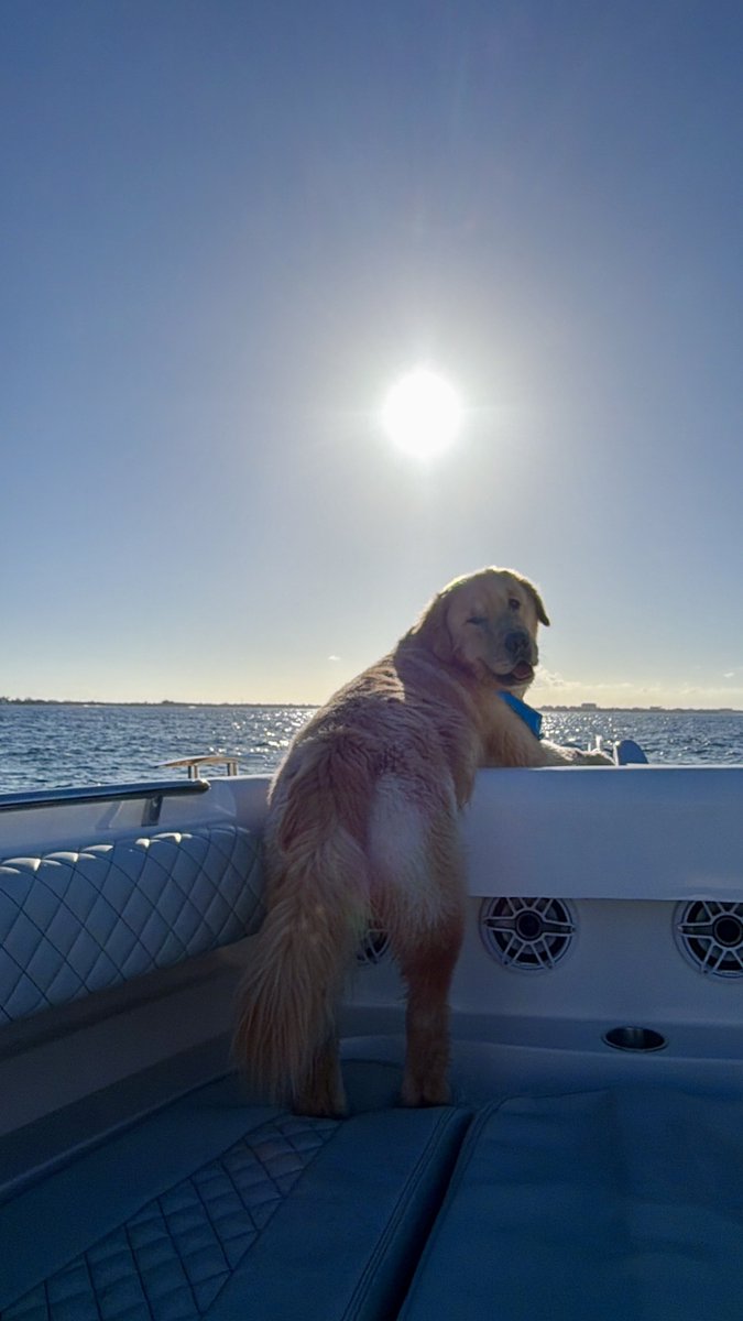 Kirk Herbstreit tweet media